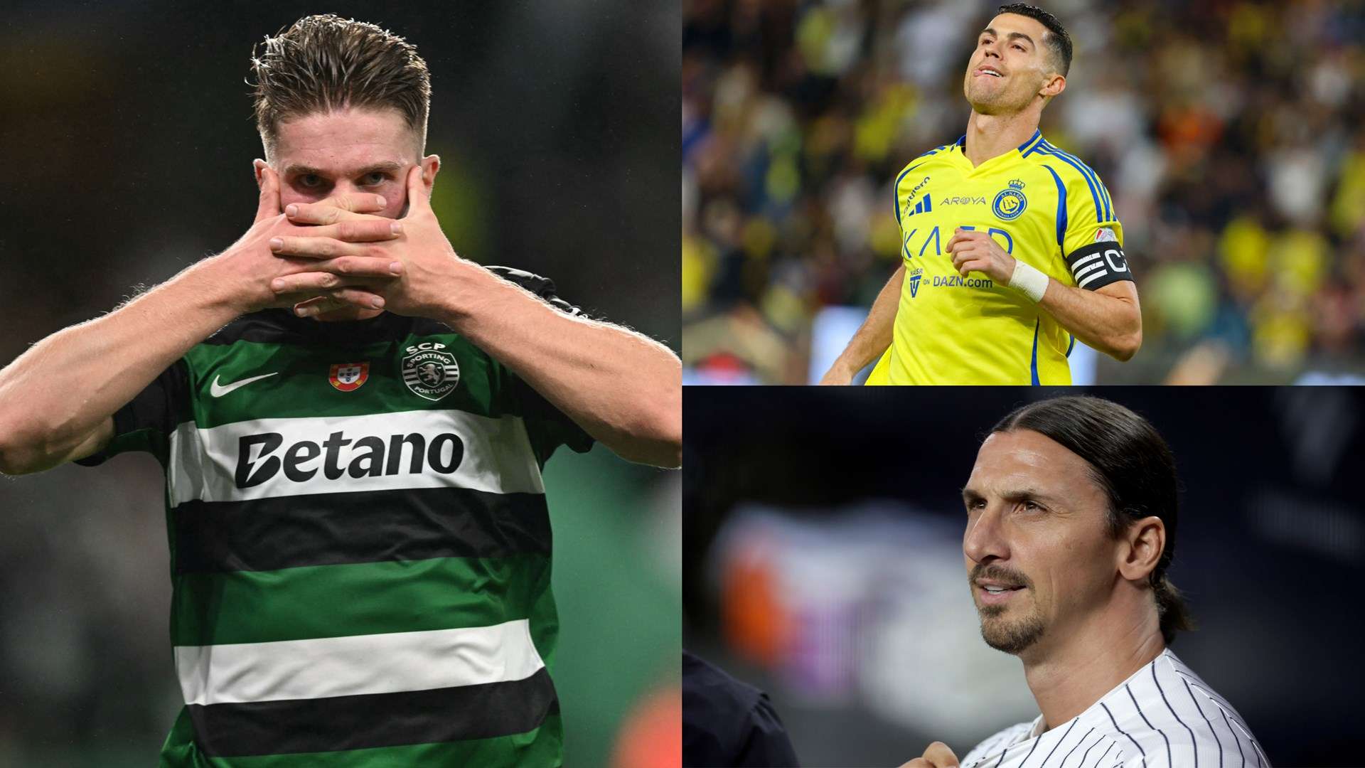 全场热情 全场热情