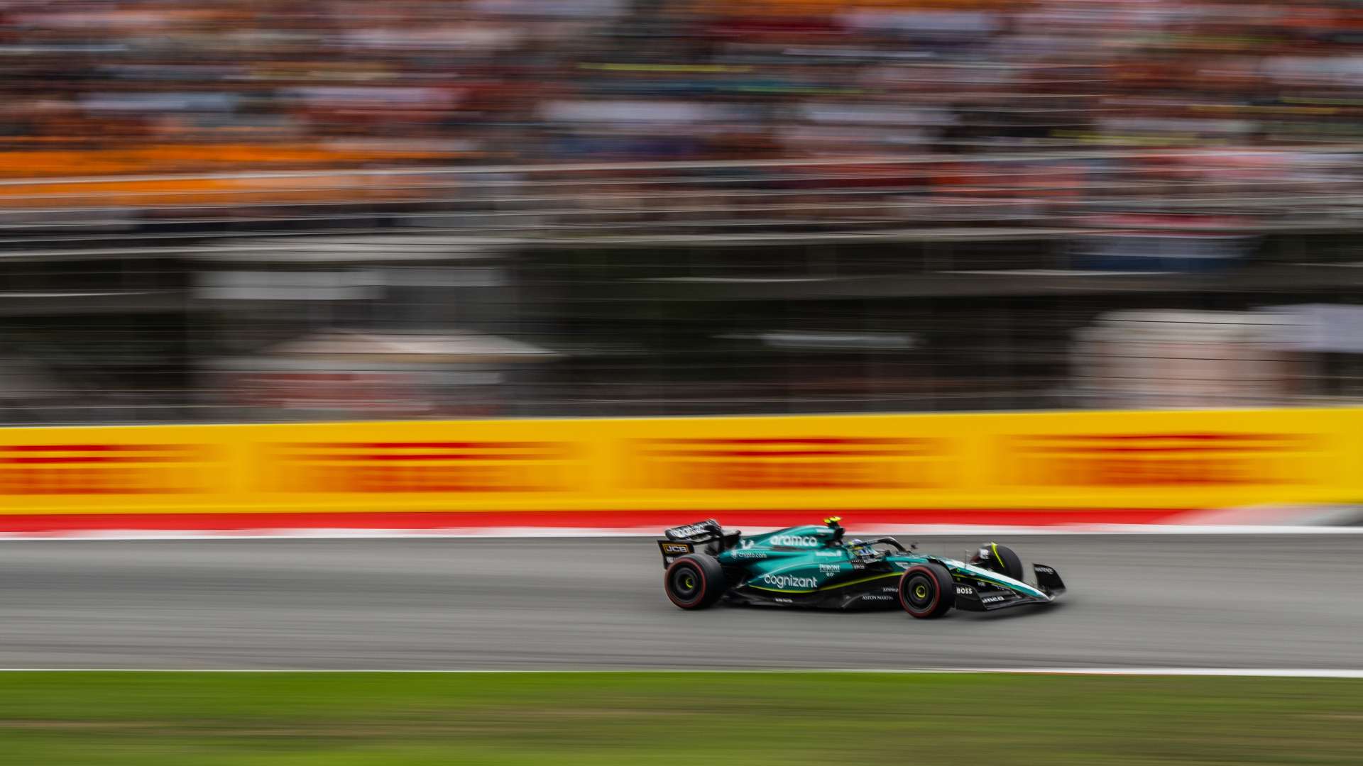 近期的动态 近期的动态